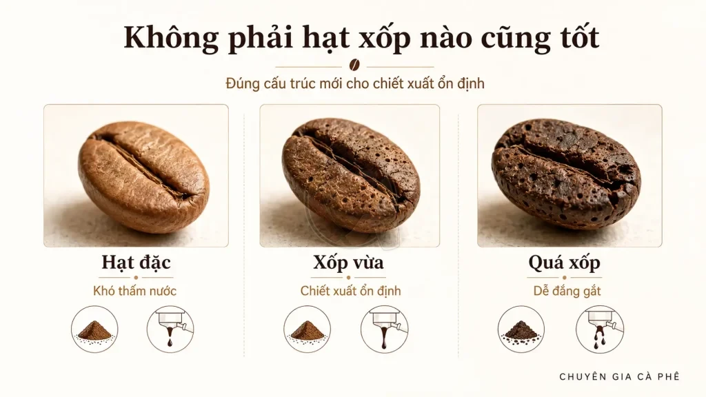 So sánh hạt cà phê đặc, xốp vừa và quá xốp sau rang trong chiết xuất cà phê.