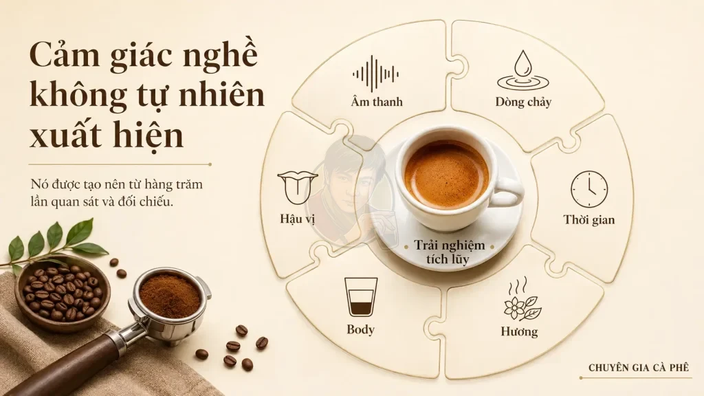 Cảm giác nghề của barista hình thành từ việc nhận diện mẫu chiết xuất và hương vị.