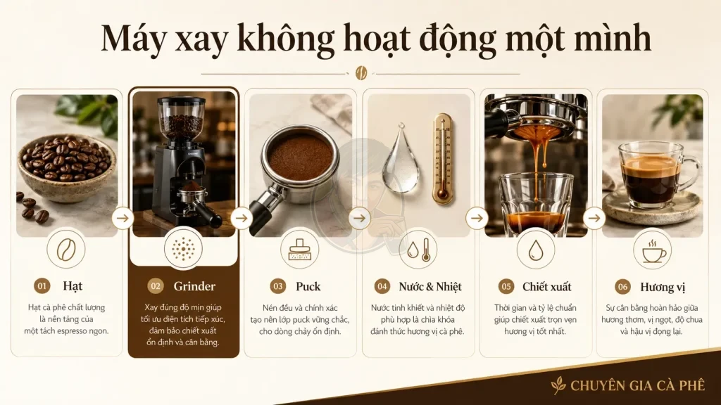 Chuỗi hạt cà phê, grinder, puck, nước và chiết xuất espresso.
