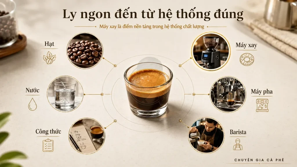 Hệ thống tạo ra ly cà phê ngon.