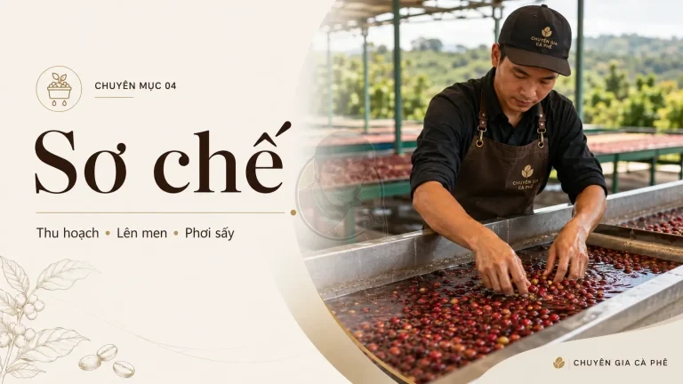 Chuyên mục 04