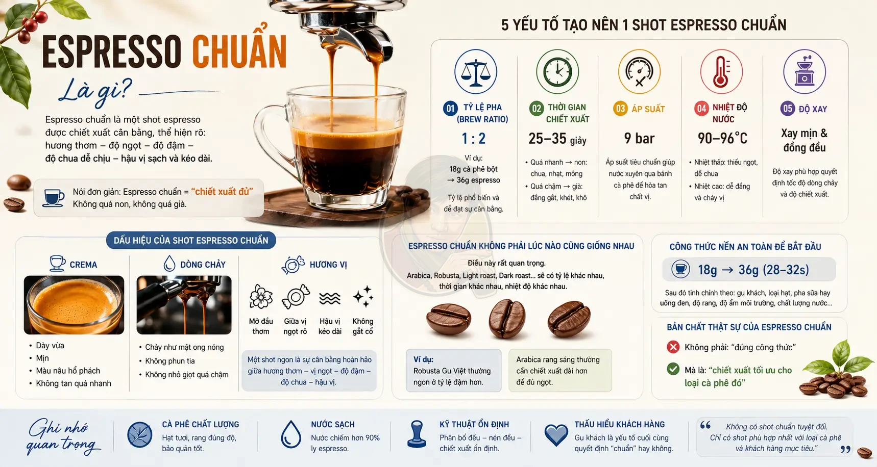 Shot espresso chuẩn là gì? Hiểu đúng Ratio – Yield – Thời gian