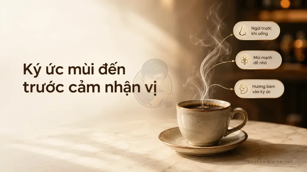 Mùi hương trong cà phê tẩm dễ tạo ký ức vị giác vì người uống ngửi trước khi uống.
