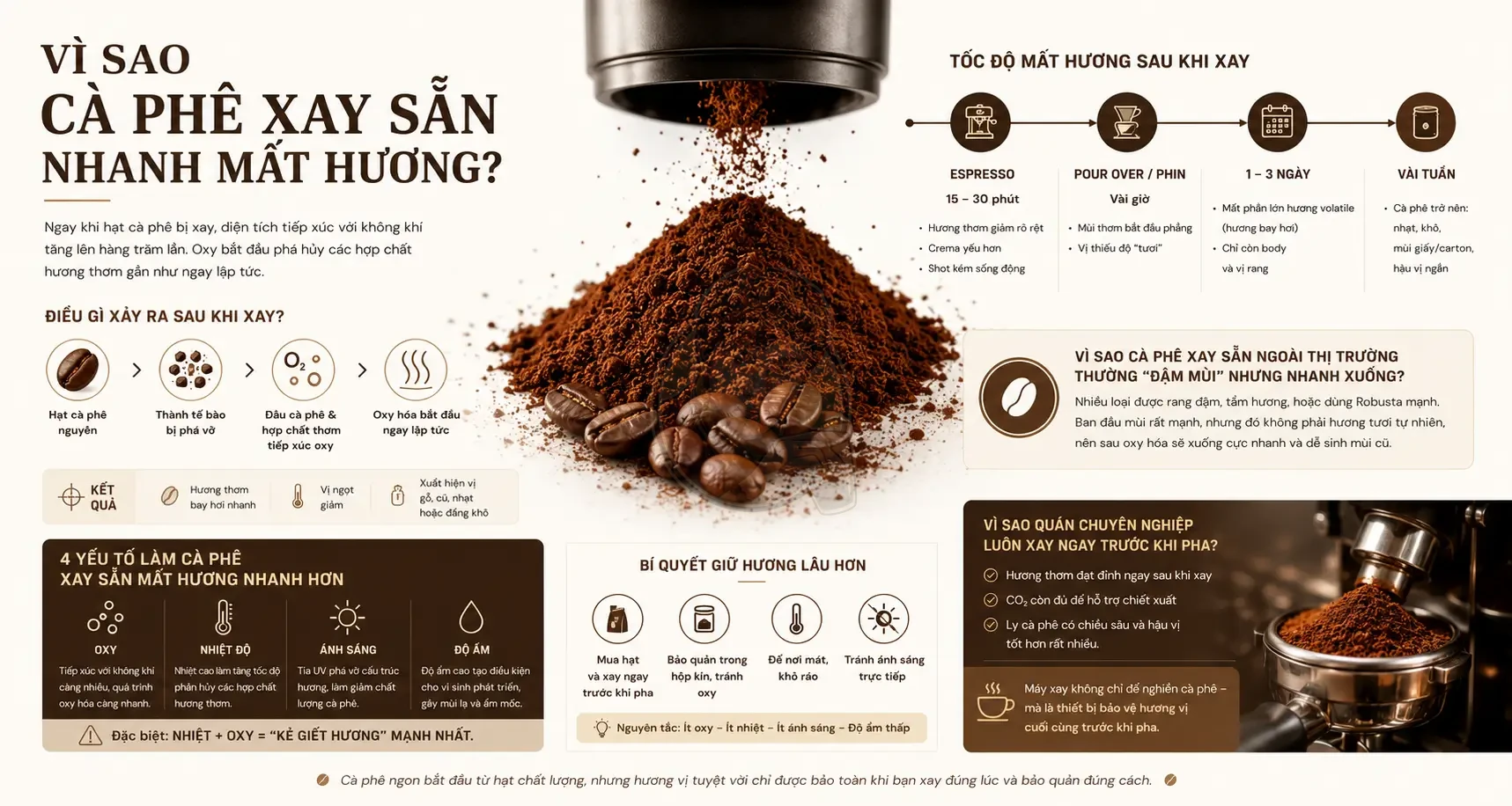 Vì sao cà phê xay sẵn nhanh mất hương sau khi xay?