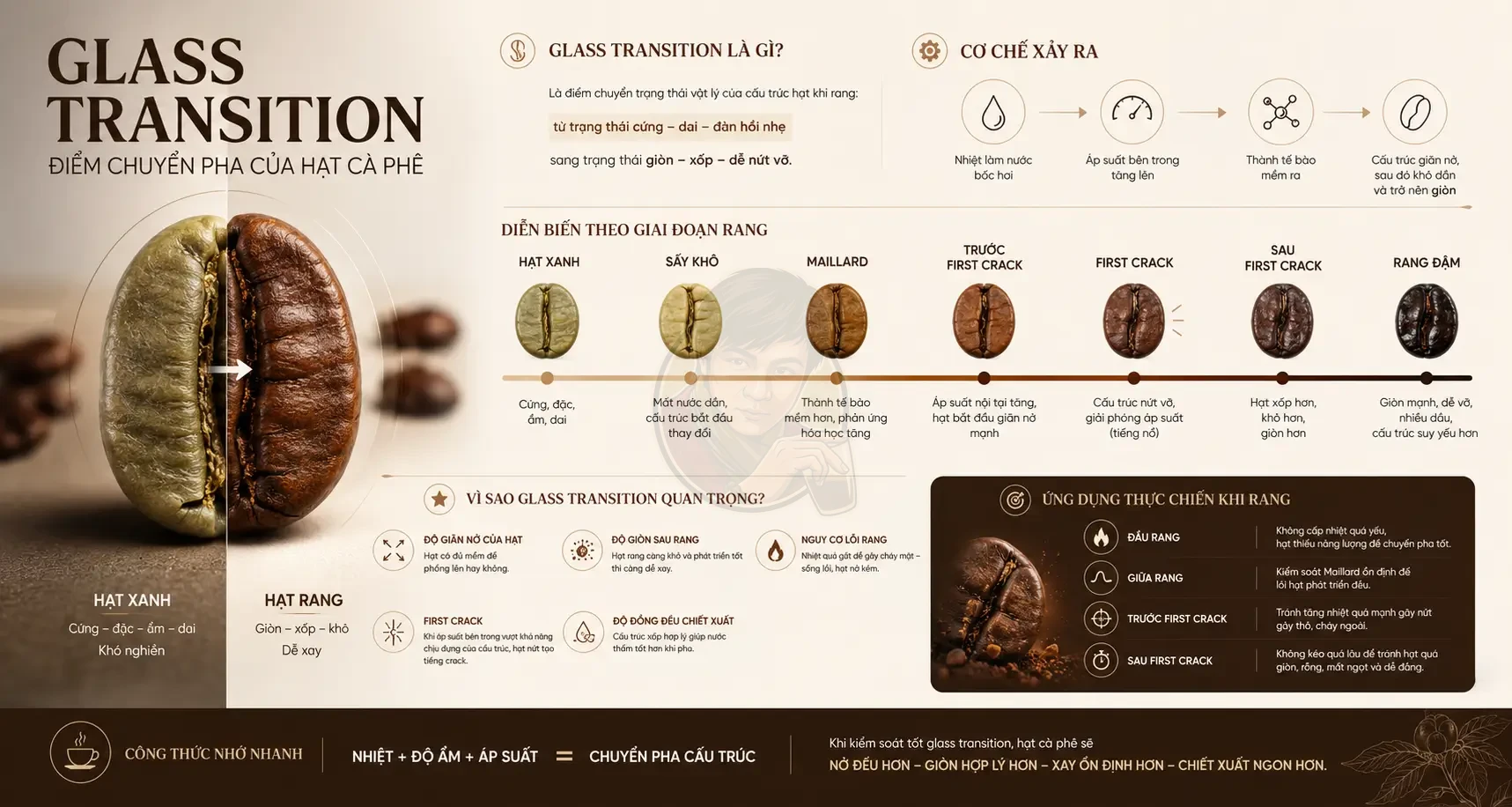 Glass transition trong hạt cà phê: Vì sao hạt từ cứng thành giòn?