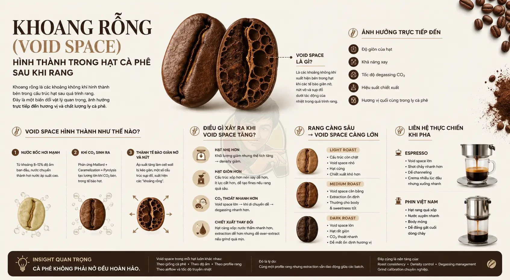Khoang rỗng trong hạt cà phê là gì? Ảnh hưởng thế nào đến chiết xuất?