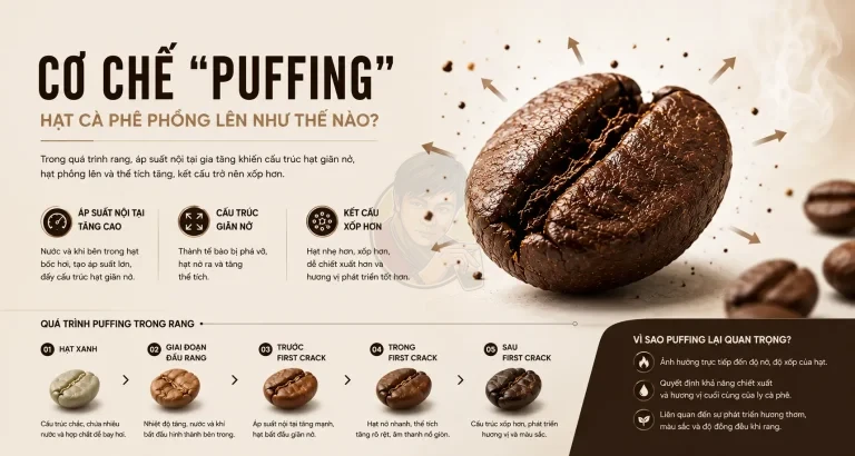 Puffing trong hạt cà phê khi rang: Vì sao hạt phồng lên?