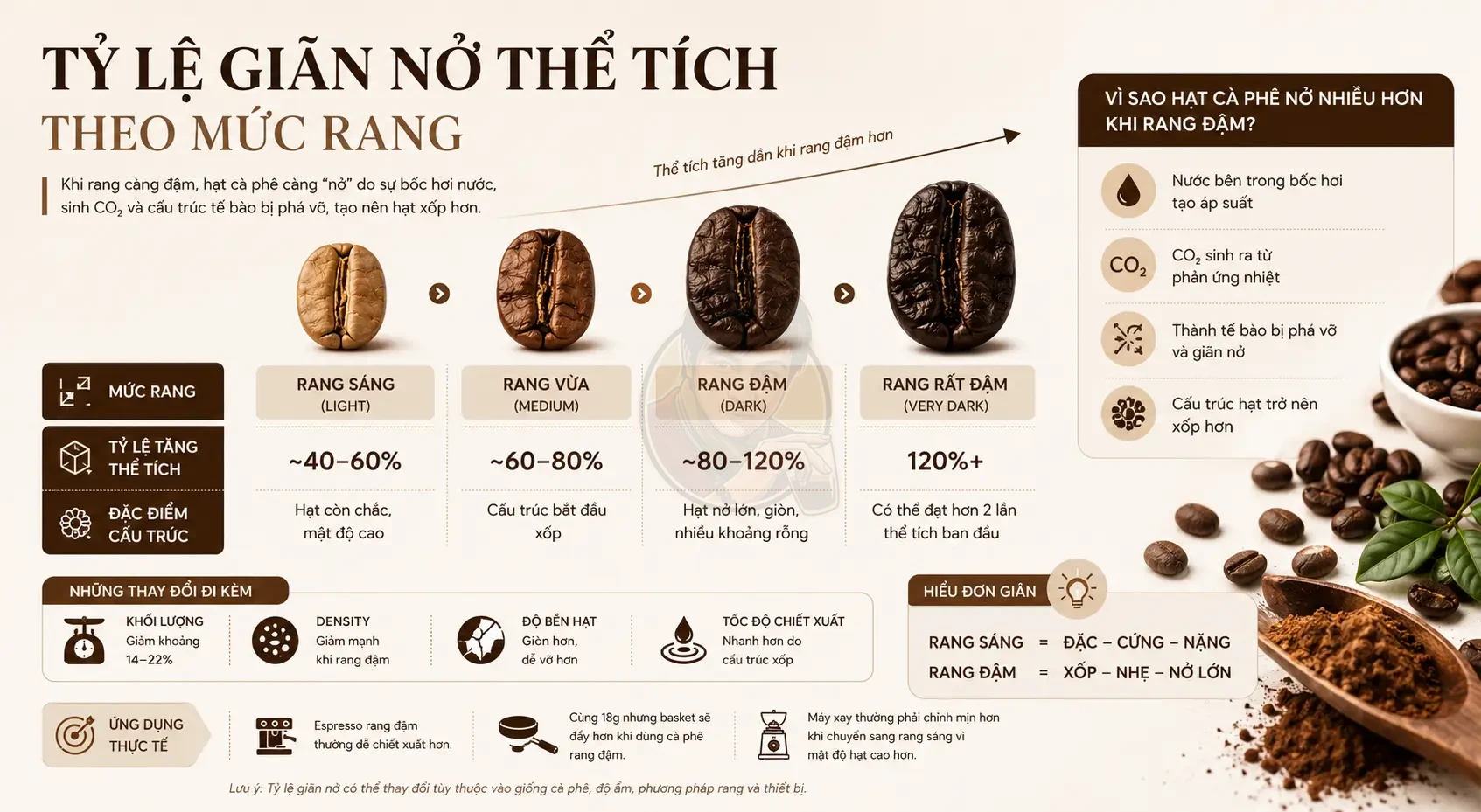 Tỷ lệ giãn nở thể tích hạt cà phê theo mức rang là gì?